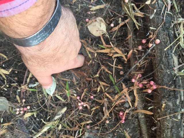 Fazla merak her zaman iyi değil! O deliğe parmağını soktu ve... - Resim: 4