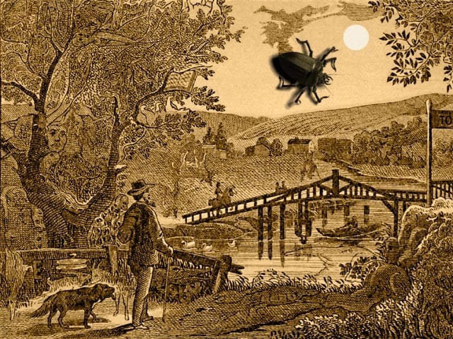 Yüzyıllardır sırrı çözülemiyor resimdeki ineği görebildiniz mi? - Resim: 2