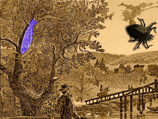 Yüzyıllardır sırrı çözülemiyor resimdeki ineği görebildiniz mi? - Resim: 3