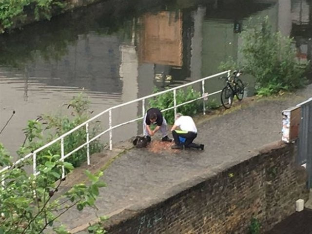 Yolda bir çuval dolusu para görseniz ne yapardınız?  - Resim: 4
