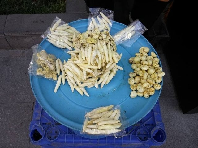 Şifa kaynağı kenger bitkisinin faydaları - Resim: 2