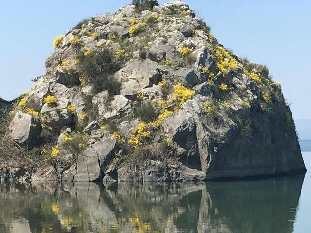 Sıradan bir kaya değil bir anda beliren görüntü... - Resim: 1