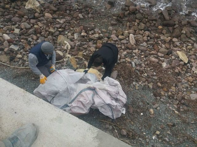 Bodrum'da üzücü manzara! Görünce şoka girdi - Resim: 4