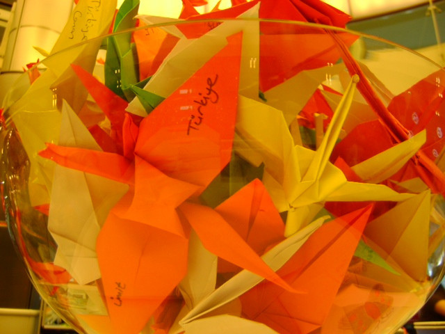 Turna Kuşları artık uçmaya hazır! - Resim: 4