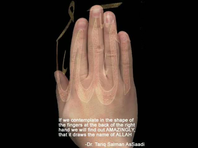 Dünya'dan ibretlik görüntüler - Resim: 2