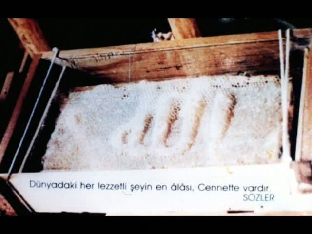 Dünya'dan ibretlik görüntüler - Resim: 3