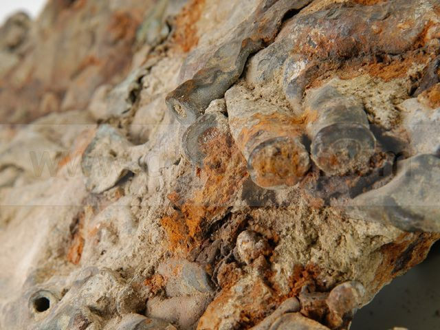 En fazla şehit veren ilimiz - Resim: 2