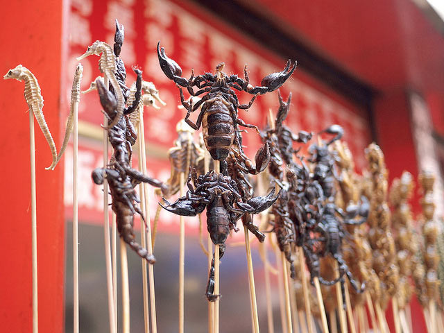 Çin işi akrep şişi - Resim: 2