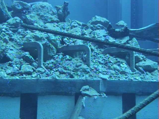 Dünya'dan ilginç kareler... - Resim: 2