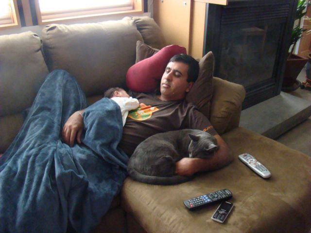 Günün en çok tıklanan fotoğrafları - Resim: 3