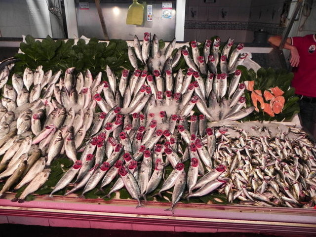 Denizlerde balık bereketi - Resim: 1