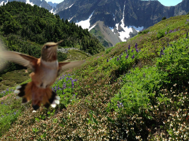 Fotoğrafların istenmeyen kahramanları - Resim: 2