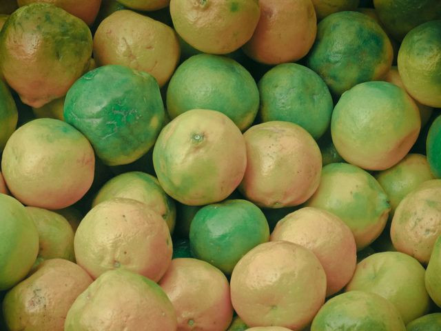 En etkili ve doğal yöntem Bembeyaz dişler için bakın ne kullanıyorlar - Resim: 2