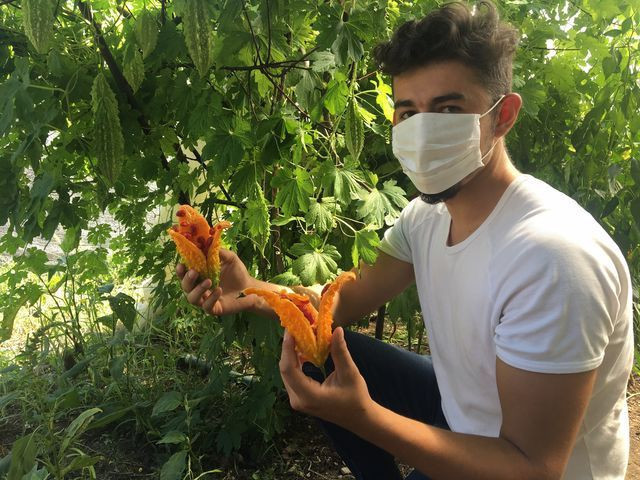 Bartın'da üretiliyor dört bir yandan sipariş yağıyor! Her derde deva - Resim: 2