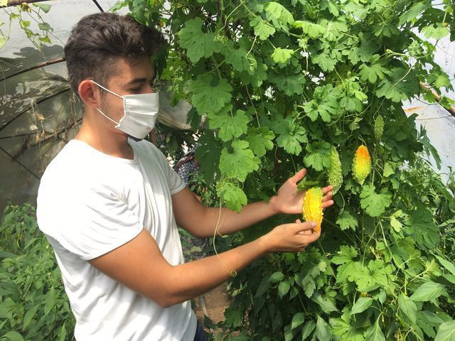 Bartın'da üretiliyor dört bir yandan sipariş yağıyor! Her derde deva - Resim: 3