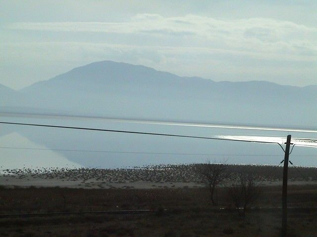 Türkiye'de tek dünyada ikinci! Denizli'de ürkütücü görüntü ortaya çıktı - Resim: 3