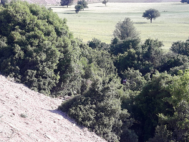 Antalya'da belediye çalışanının el ve ayakları bağlı cesedi bulundu - Resim: 0