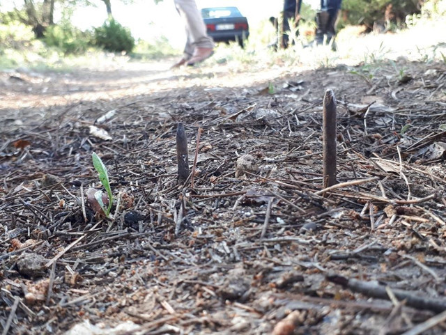Kütahya'da mantar toplamaya giden vatandaşa 'Ölüm tuzağı' kuruyorlar - Resim: 0
