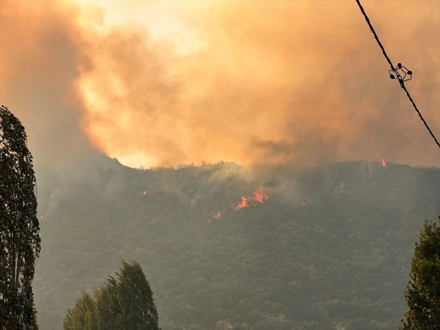 Antalya'dan sevindiren haber: Kuvvetli rüzgara rağmen orman yangını kontrol altına alındı! - Resim: 0