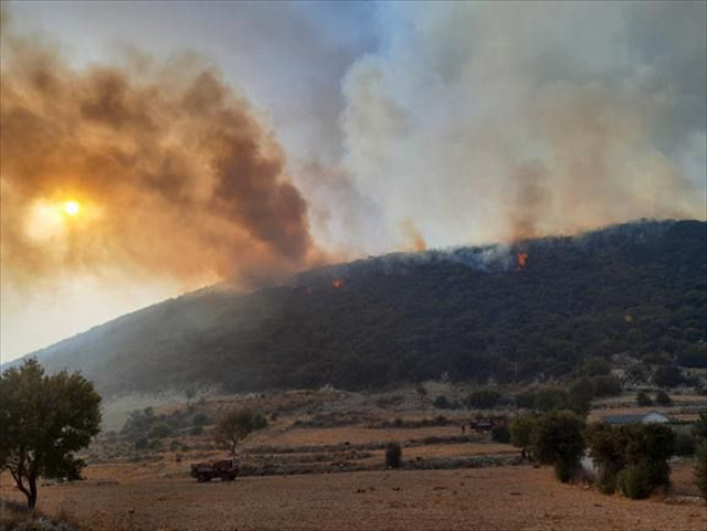 Antalya'dan sevindiren haber: Kuvvetli rüzgara rağmen orman yangını kontrol altına alındı! - Resim: 1