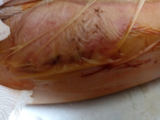 Üzerine kaynar su döküldü anaokulunu korku sardı! "Kızımı titrerken buldum" diyen babadan şok iddia - Resim: 0