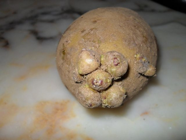 Sebze ve meyvelerin kimyasal işlemden geçtiğini nasıl anlarsınız? - Resim: 2