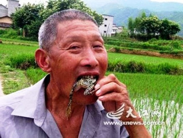 Midesinden öyle şeyler çıktı ki... - Resim: 4