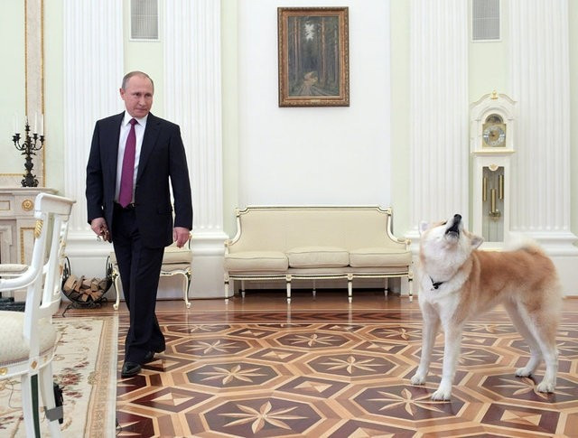 Putin gazetecileri köpekle korkuttu! - Resim: 1