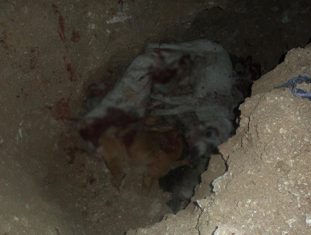 Uşak'ta inanılmaz katliam - Resim: 4