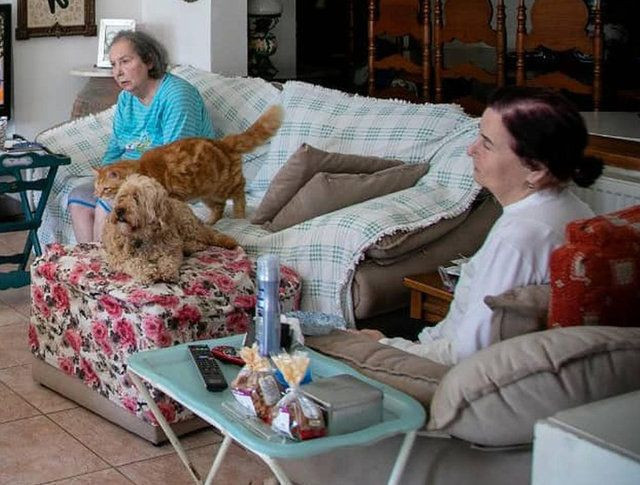 Yeşilçam'ın efsane oyuncusu Fatma Girik Bodrum'da korona virüs önlemi aldı! - Resim: 1