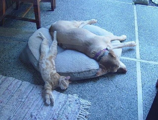 Günün en çok tıklanan kareleri - Resim: 4