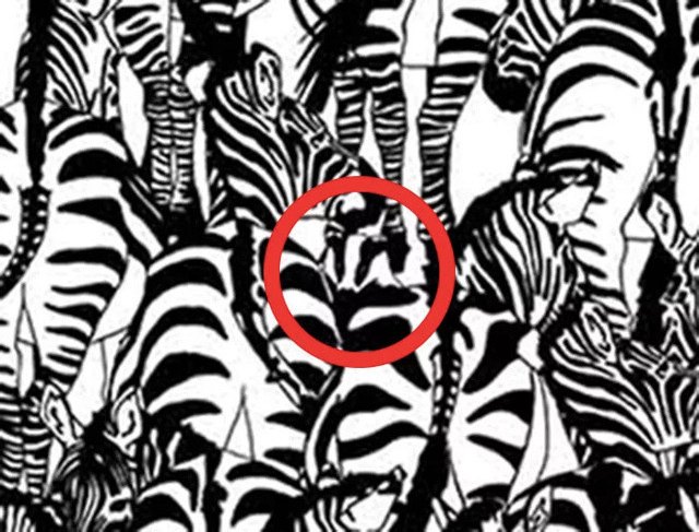 15 saniyede buldunuz mu? Gizli hayvanı yalnızca dahiler farkedebilir! - Resim: 1