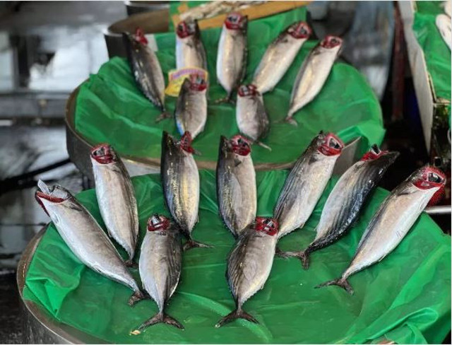 Tezgahlarda palamut bolluğu devam ediyor! 50 TL'ye kadar düştü - Resim: 0