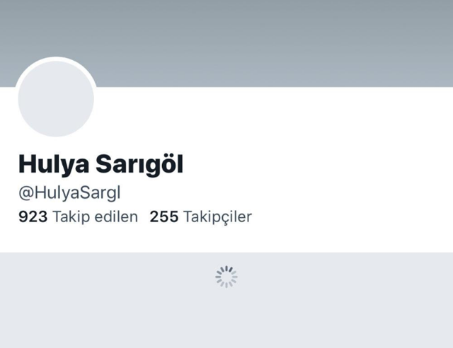 İBB'den Hülya Sarıgöl skandalı! 3 katı fiyatına cerrahi maske alımı - Resim: 1
