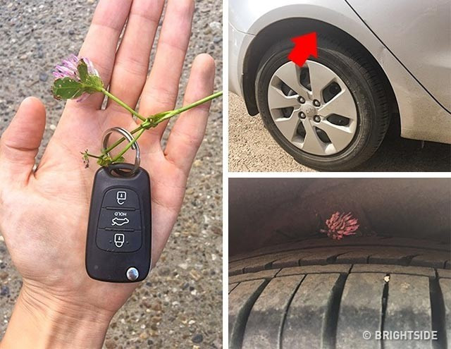 Plajda rahat etmenin yollarına bakın! - Resim: 2