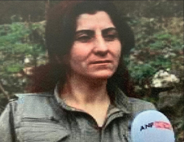 Terör örgütü PKK'nın sözde üst düzey ismi öldürüldü - Resim: 1