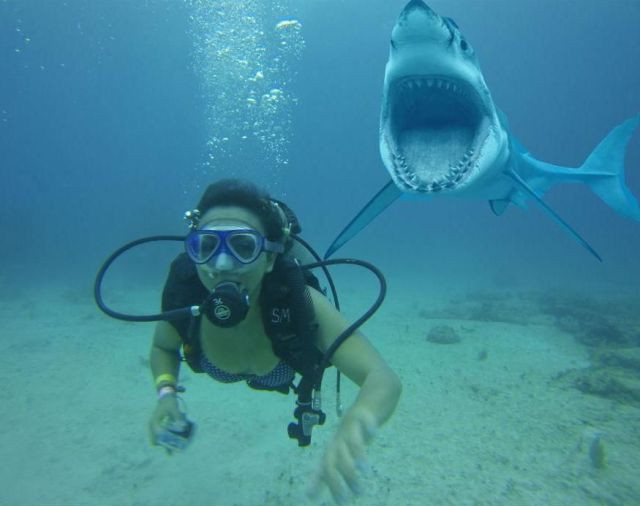 Haftanın en çılgın fotoğrafları - Resim: 1