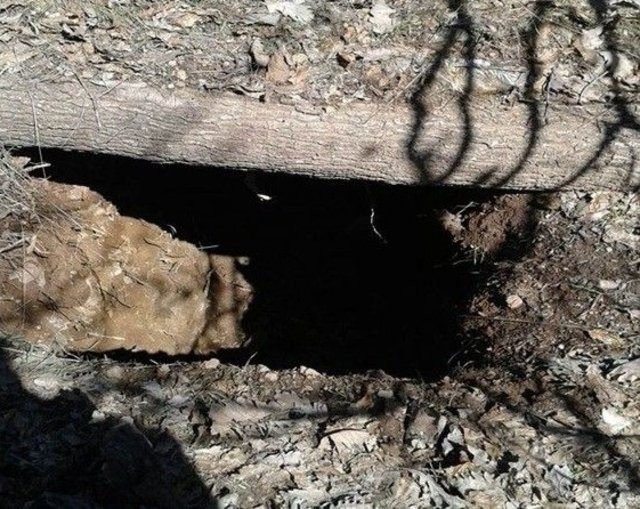 PKK'ya ait bir sığınak daha bulundu - Resim: 1