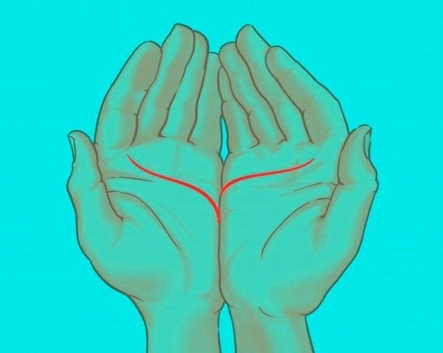 Avucunuzdaki çizgiler hayatınıza dair birçok ipucu veriyor bakın nasıl - Resim: 3