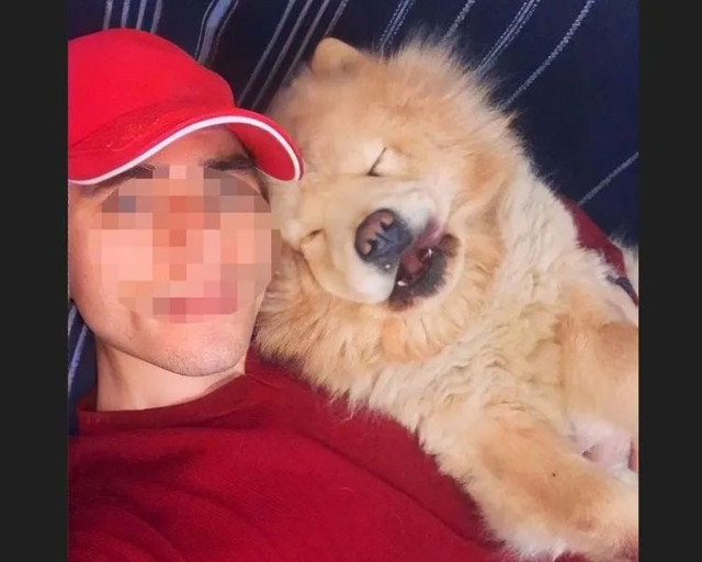 Cani ev sahibinin kira intikamı! Eve zorla girip... - Resim: 0