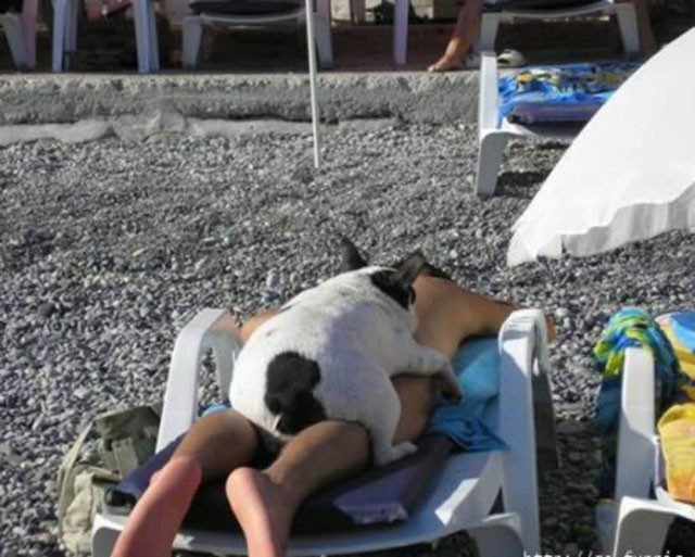 En tuhaf yaz fotoğrafları - Resim: 4