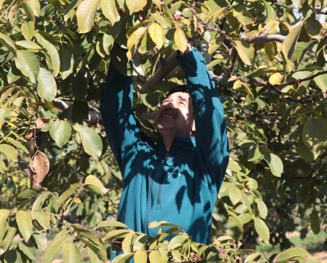 Burak Hakkı köy hayatı yaşamaya başladı huzuru burada buldu - Resim: 1