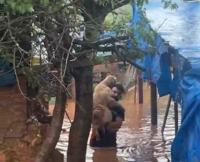 Bartın'daki selde 56 köpek telef oldu! Barınakta mahsur kalan köpekler böyle kurtarıldı - Resim: 0