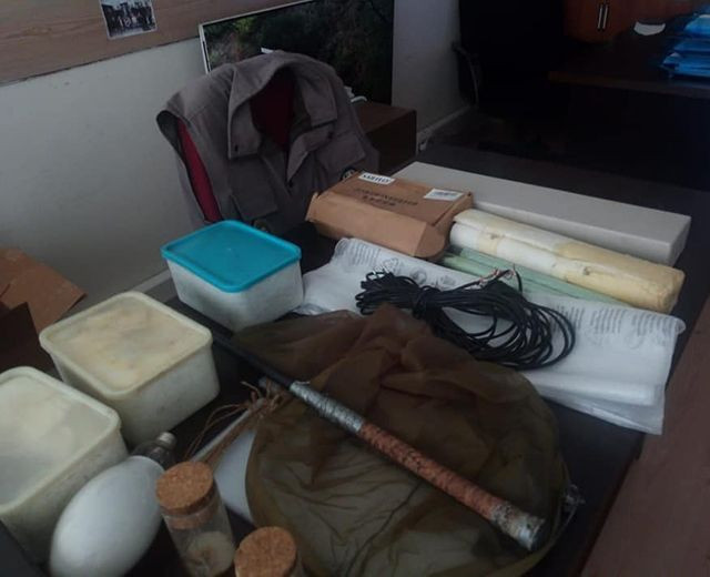 Gümüşhane'de kelebek yakalayan yabancı uyruklu 2 kişiye para cezası - Resim: 3