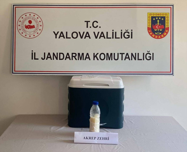 Suriye'den Türkiye'ye plastik şişeyle getirilmiş! Değeri tam 5 milyon dolar - Resim: 0