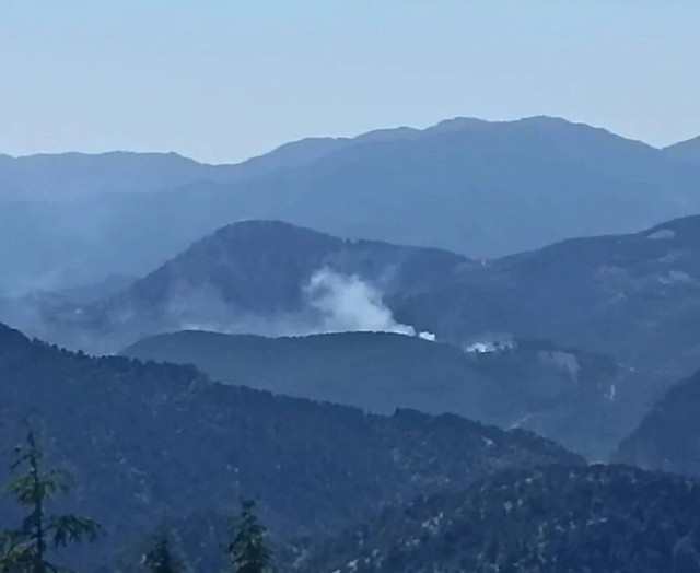 Dört şehirde birden orman yangını çıktı! Bolu, Ankara, İzmir ve Adana'daki yangınlar büyüyor - Resim: 1