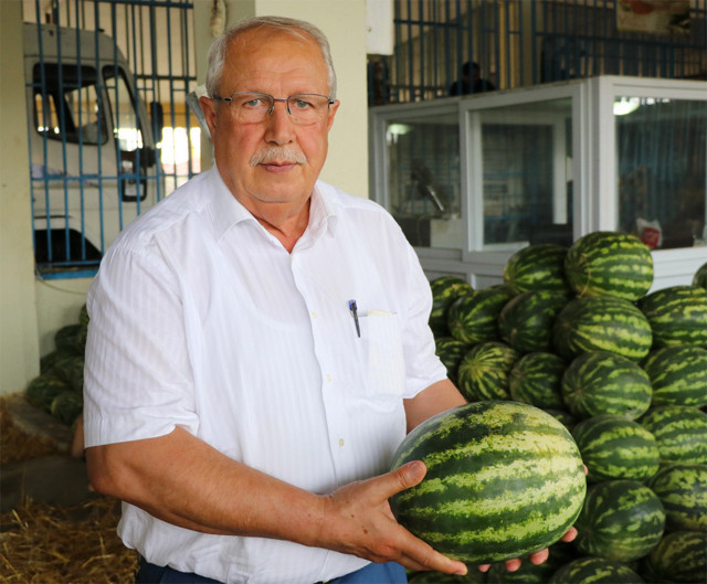 Adana karpuzu 20 kuruşa domates fiyatı 50 kuruşa indi - Resim: 1