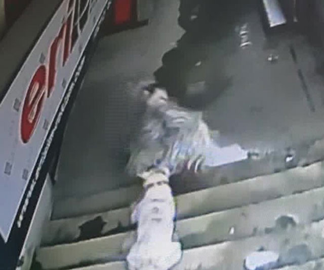 Sahibiyle kahvaltı yapan keçi bir anda hayatının şokunu yaşadı!  - Resim: 2