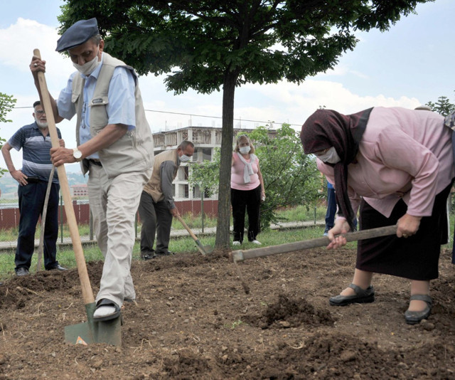 Samsun'da dikilen bu fidenin anlamı bir başka - Resim: 0