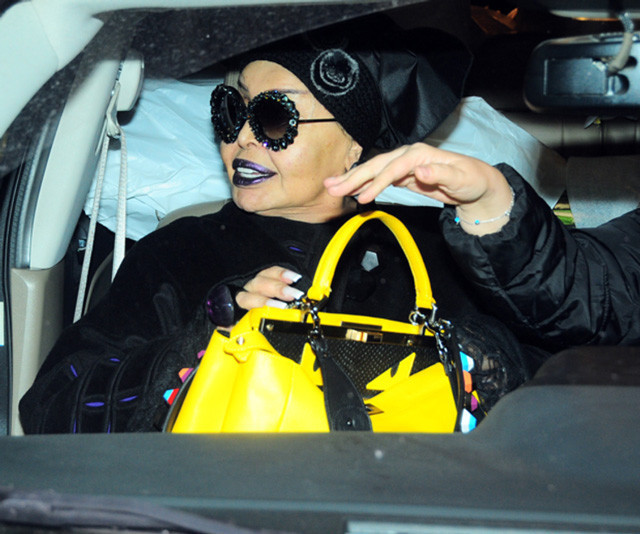 Bülent Ersoy ateş püskürdü "Bozuk et yedirdiler bana" - Resim: 3